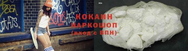 шишки Абинск