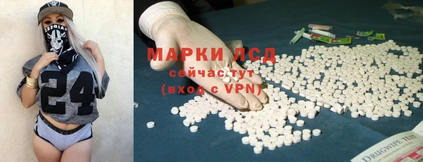 шишки Абинск